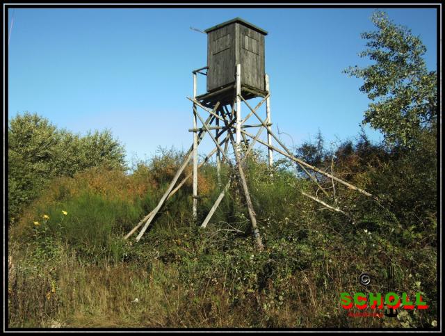 Walldorf_und_Rockenhausen_2011_158.JPG