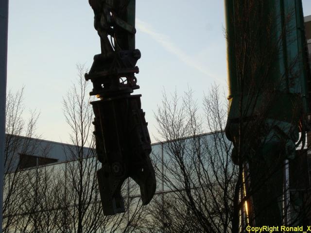 DSC06955_border.jpg