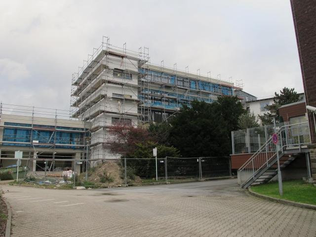 IMG_9930.JPG