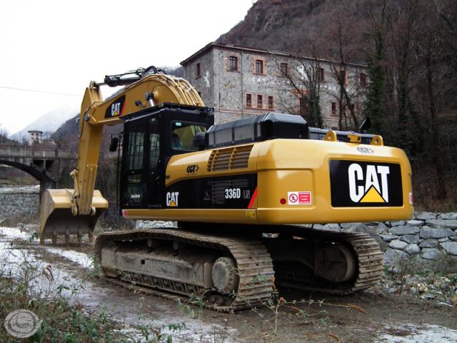 cat_336d_3.jpg