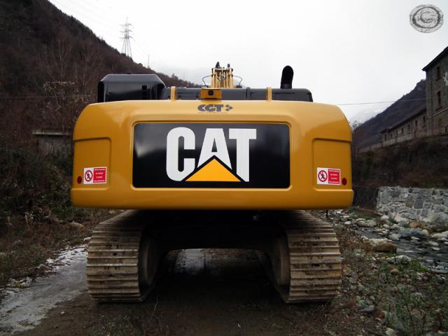 cat_336d_4.jpg