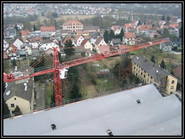 010.jpg