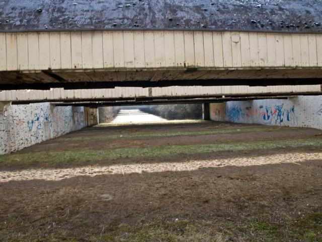 _J050017.JPG