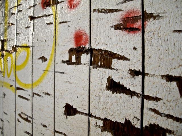 _J050020.JPG
