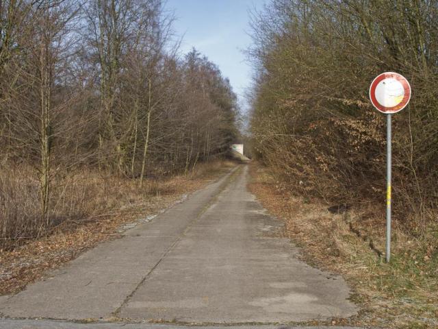 _J050031.JPG