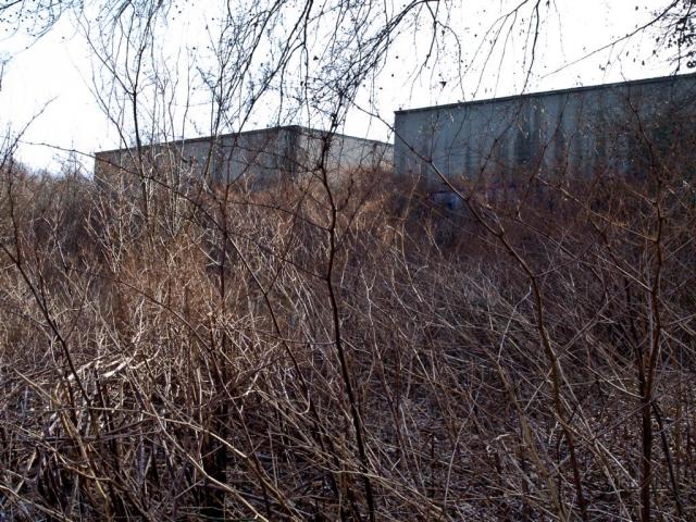 _J050036.JPG