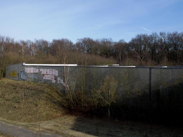 _J050042.JPG