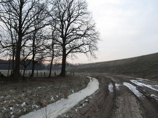 2012/02/post-16228-1329059269_thumb.jpg