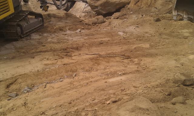 2012/02/post-3878-1328431652_thumb.jpg