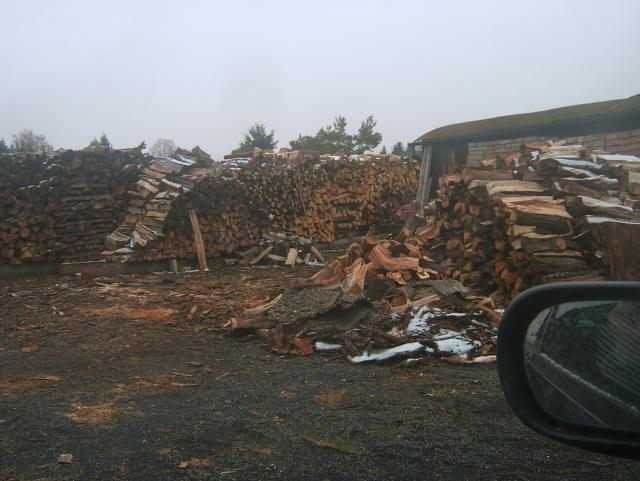 SA505186.JPG