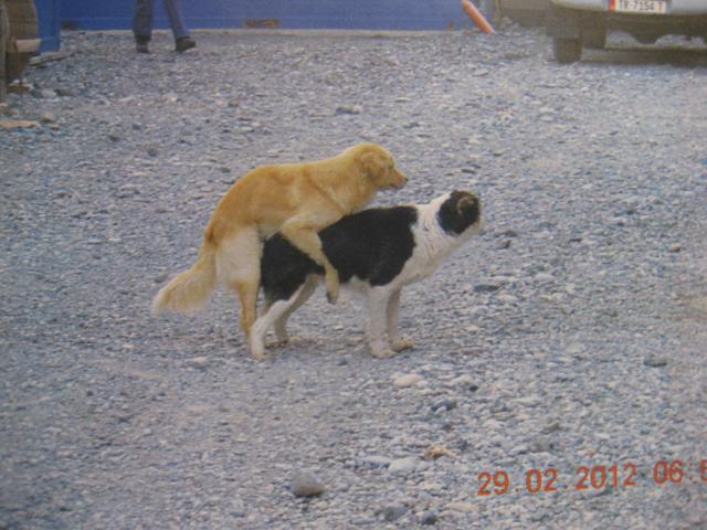 2012/03/post-3365-1330878281_thumb.jpg