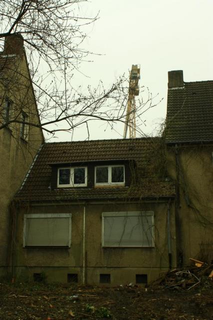 2012/03/post-6467-1331401151_thumb.jpg