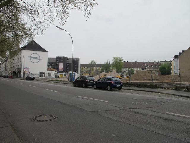 IMG_5469.JPG