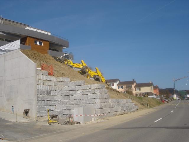 Menzi_Muck_und_Kranbilder_Wolf_016.JPG