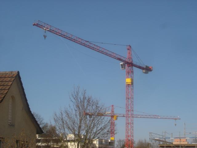 Menzi_Muck_und_Kranbilder_Wolf_104.JPG