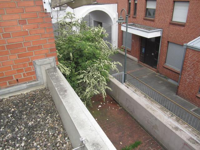 2012/05/post-17369-1337712005_thumb.jpg