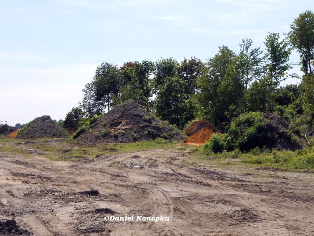DSCN0480.JPG