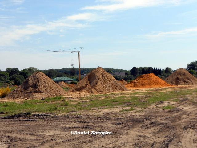 DSCN0481.JPG