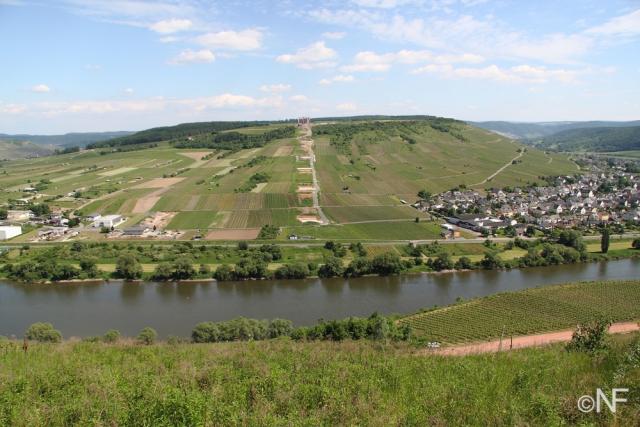 Mosel__2_.JPG