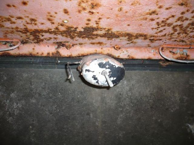 k_Detailbilder_Fuchs_044.jpg