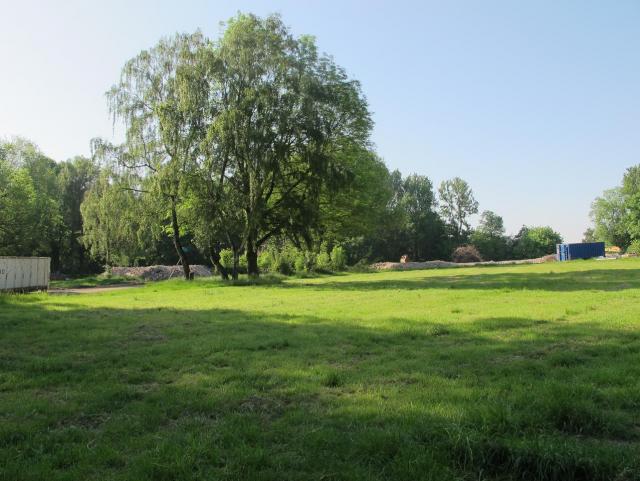 IMG_5754.JPG