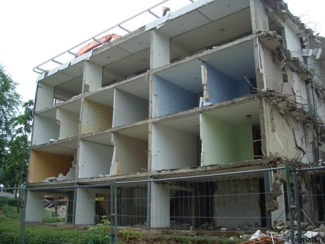 DSC08432_border.jpg