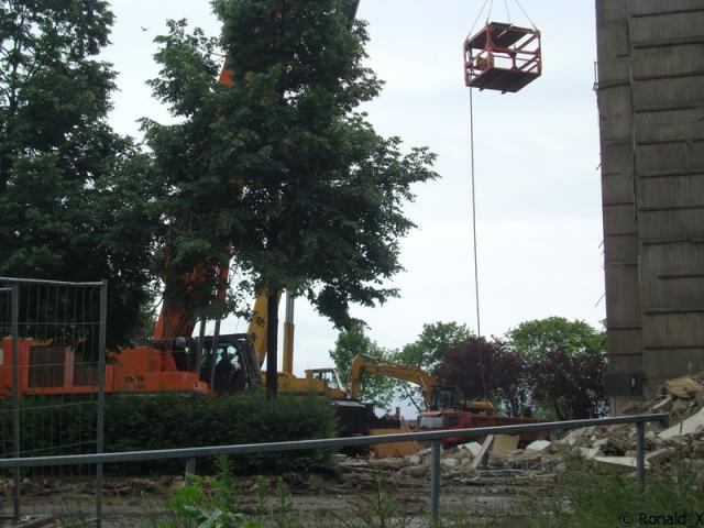 DSC08685_border.jpg