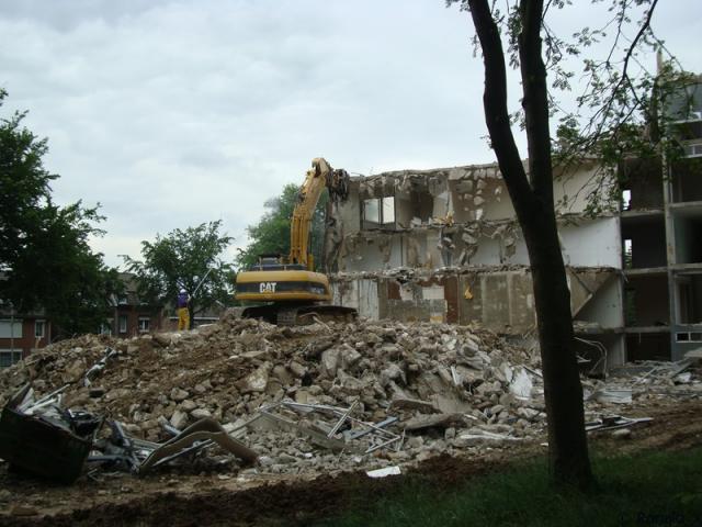 DSC09261_border.jpg