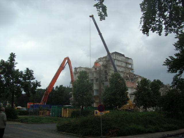 DSC09425_border.jpg
