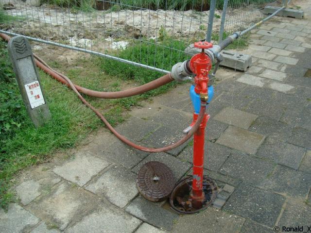 DSC00249_border.jpg