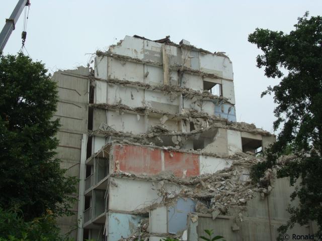 DSC00251_border.jpg