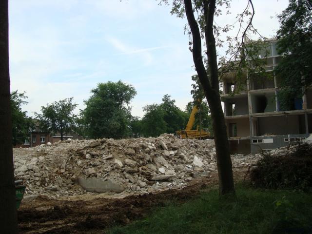 DSC09599_border.jpg