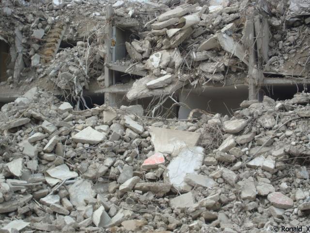 DSC09655_border.jpg