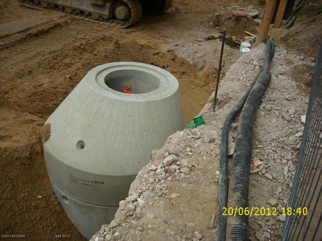 comp_DSCI0102.jpg