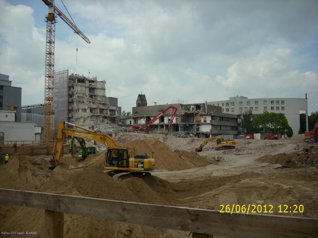 comp_DSCI0463.jpg