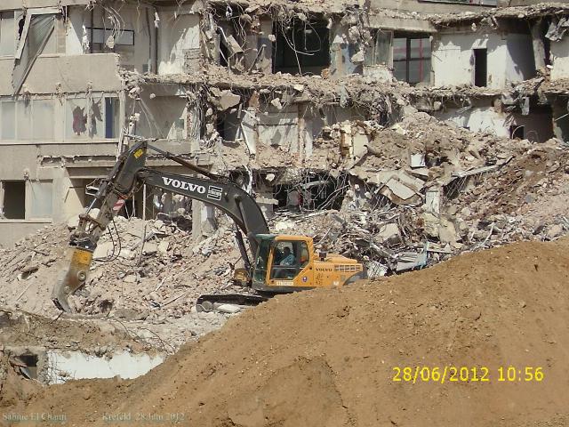 comp_DSCI0599.jpg
