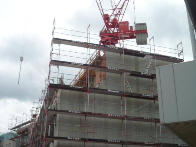 SAM_0458.JPG