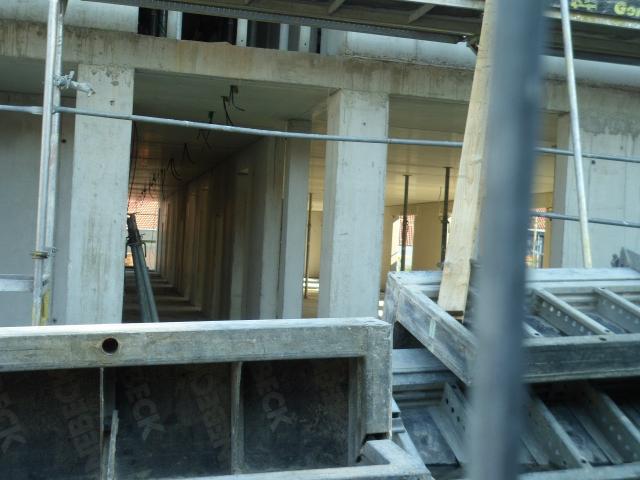 SAM_0555.JPG