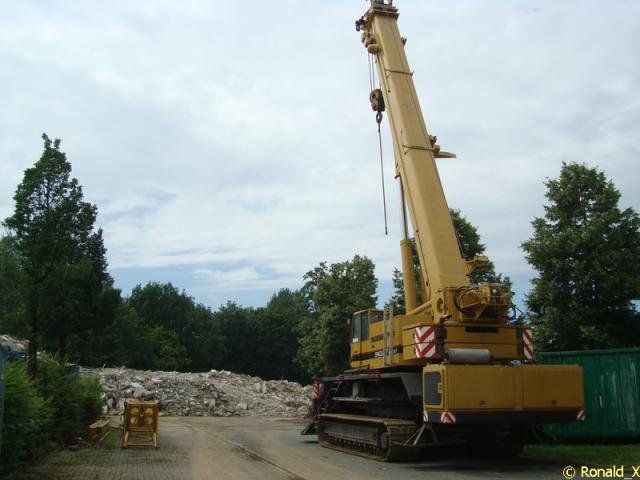 DSC00559_border.jpg
