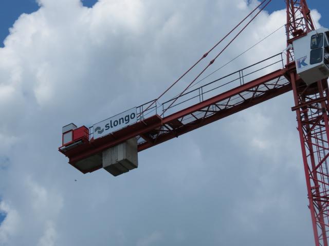 Wolfkrane_und_Liebherr_141_1.JPG