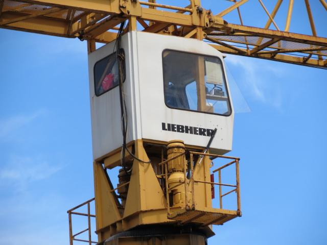 Liebherr_Wolf_Glotten_SG_und_Schachen_118_1.JPG