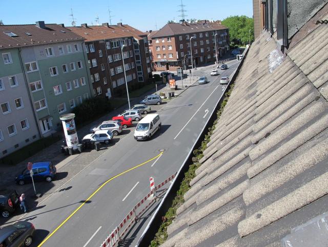 IMG_8012.JPG