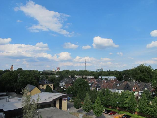 IMG_8337.JPG