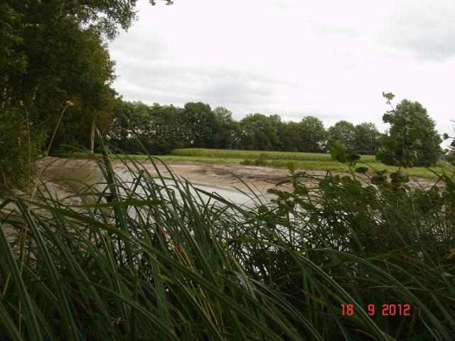 DSC00340.JPG
