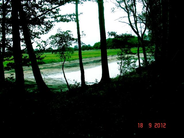 DSC00342.JPG