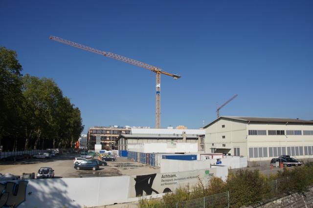 DSC07290.JPG