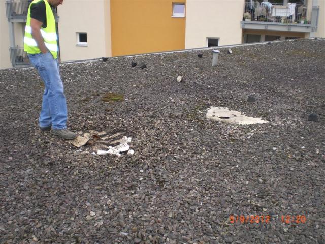 olli_exilim_05.09.12_016.jpg