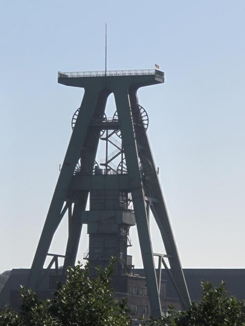 IMG_8830.JPG