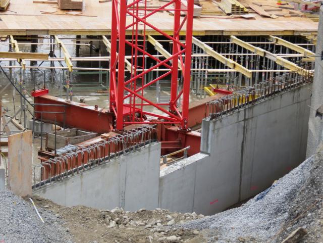 Liebherr_Wolf_Glotten_SG_und_Schachen_141_1.JPG