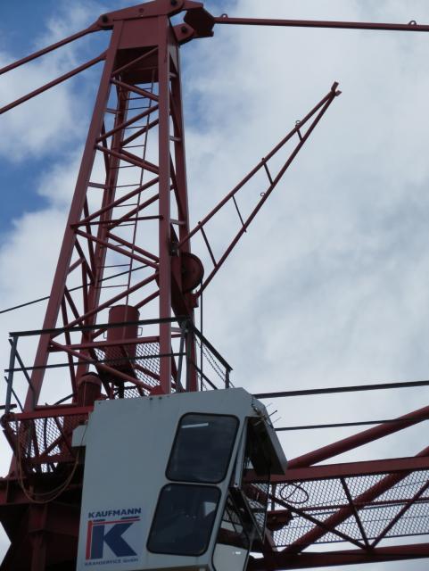 Liebherr_Wolf_Glotten_SG_und_Schachen_132_1.JPG